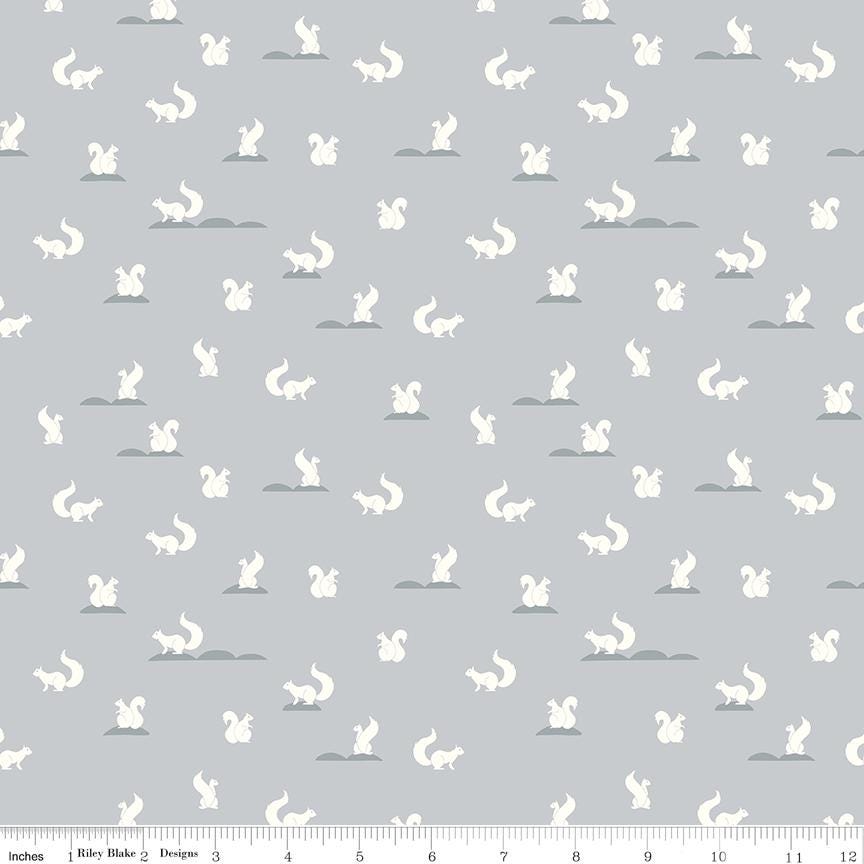 Clearance - 1/2 Yard Flat Fold - South Hill Blush Collection Quilting Cotton by Fran Gulick, Riley Blake Designs