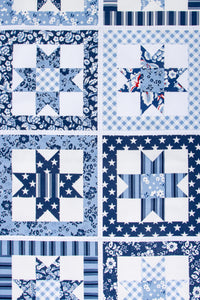 Star Panel Designer Quilting Cotton by Freedom Garden for Riley Blake Designs