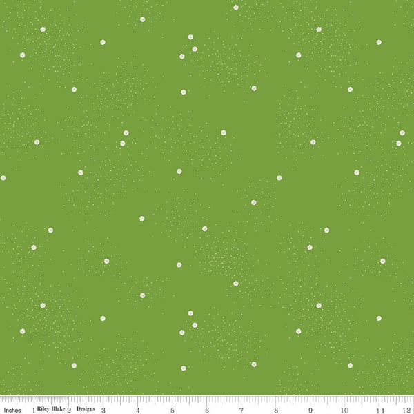 1/2 Yard Dainty Daisy Holly Basics Quilting Cotton for Riley Blake Designs