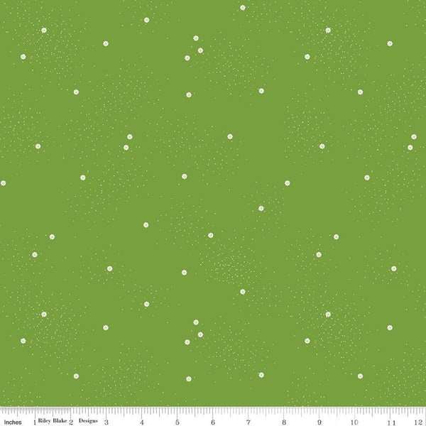 1/2 Yard Dainty Daisy Holly Basics Quilting Cotton for Riley Blake Designs