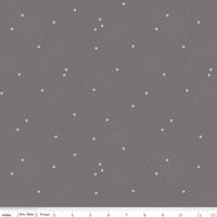 1/2 Yard Dainty Daisy Iron Basics Quilting Cotton for Riley Blake Designs