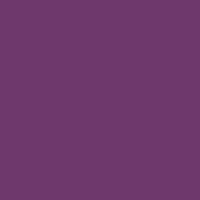 1/2 Yard Confetti Cotton, Eggplant Purple, Solid Quilting Fabric from Riley Blake Designs