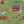 1/2 Yard Country Life Main, Grass Green, Designer Quilting Cotton by Jennifer Long