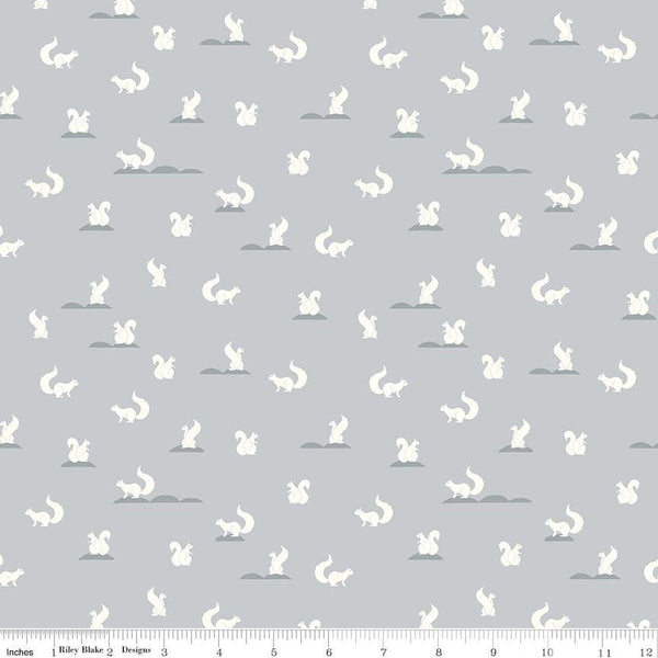 Clearance - 1/2 Yard Flat Fold - South Hill Blush Collection Quilting Cotton by Fran Gulick, Riley Blake Designs