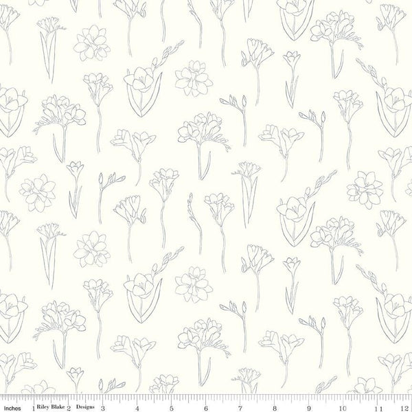 Clearance - 1/2 Yard Flat Fold - South Hill Blush Collection Quilting Cotton by Fran Gulick, Riley Blake Designs